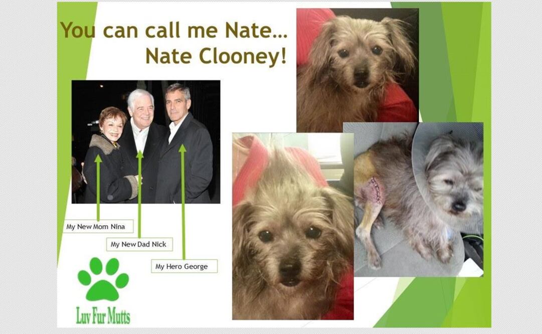 FOTO: Facebook LuvFurMutts Animal Shelter