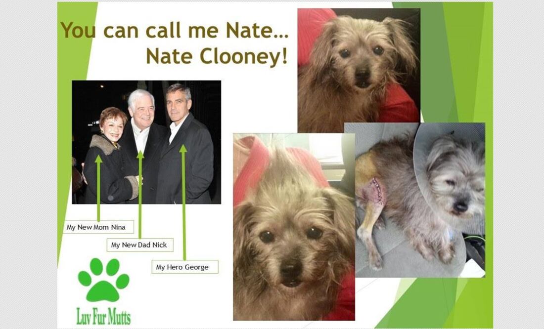 FOTO: Facebook LuvFurMutts Animal Shelter