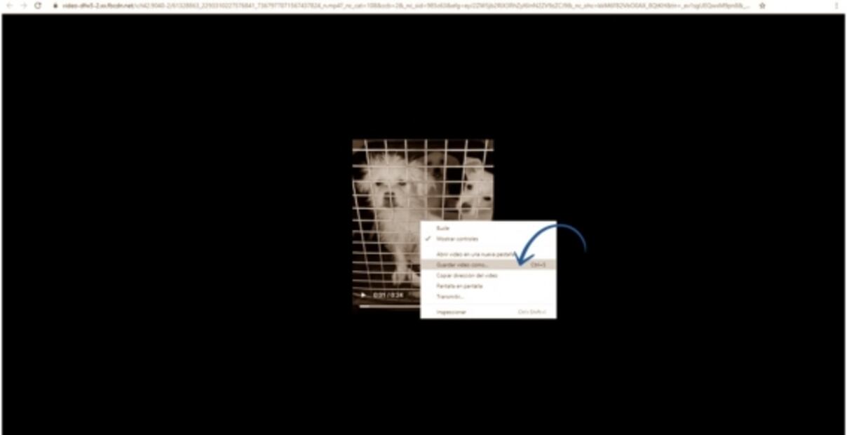 Paso a paso, así puedes descargar un video de Facebook