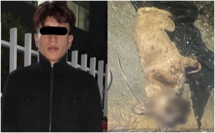 Detienen a hombre por maltrato animal; ahorcó y mató a perrita en Ecatepec