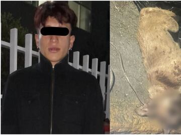 Detienen a hombre por maltrato animal; ahorcó y mató a perrita en Ecatepec