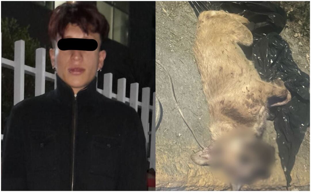 Maltrato animal en Edomex. Foto: Especial