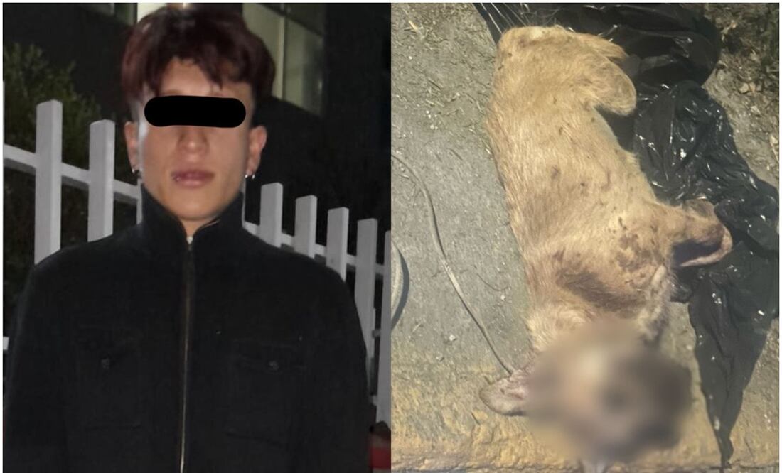 Maltrato animal en Edomex. Foto: Especial