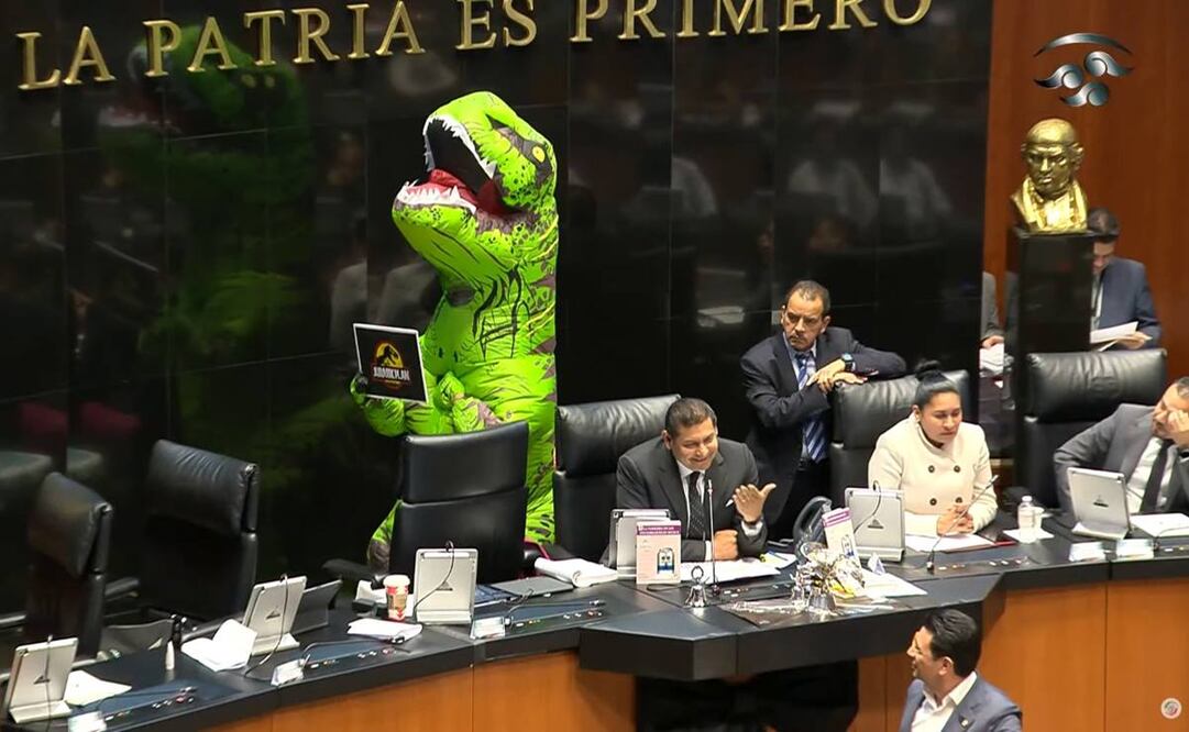 Foto: Captura video Senado de la República