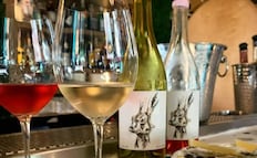 Cuándo y dónde será el festival de vinos naturales en San Miguel de Allende
