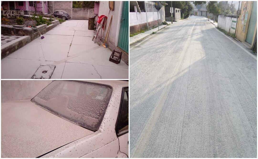 Fotografía: Especial