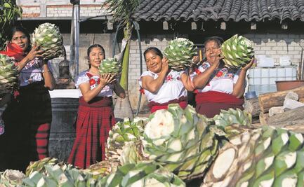Mujeres se abren paso como maestras mezcaleras 