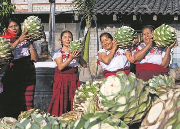 Mujeres se abren paso como maestras mezcaleras