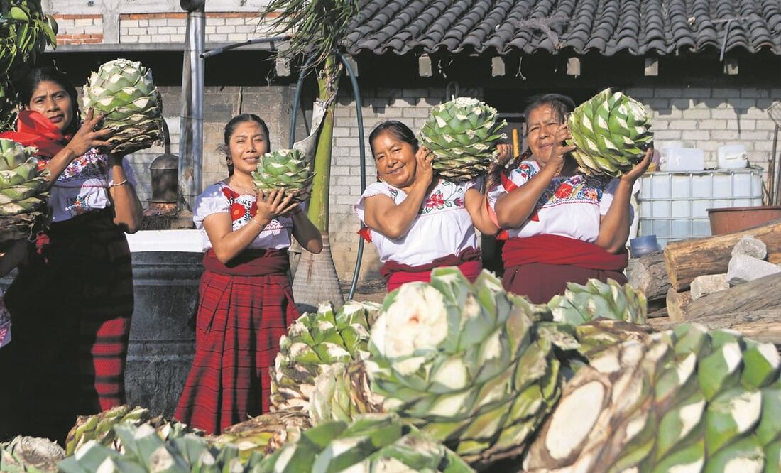 Las mujeres de Santiago Matatlán han visto miles de agaves madurar con el tiempo y con él una industria que en los últimos cuatro años ha crecido 173%, de la cual ahora son parte. Fotos: Edwin Hernández / EL UNIVERSAL