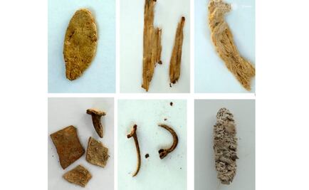 Hallan el maíz más antiguo del norte de México