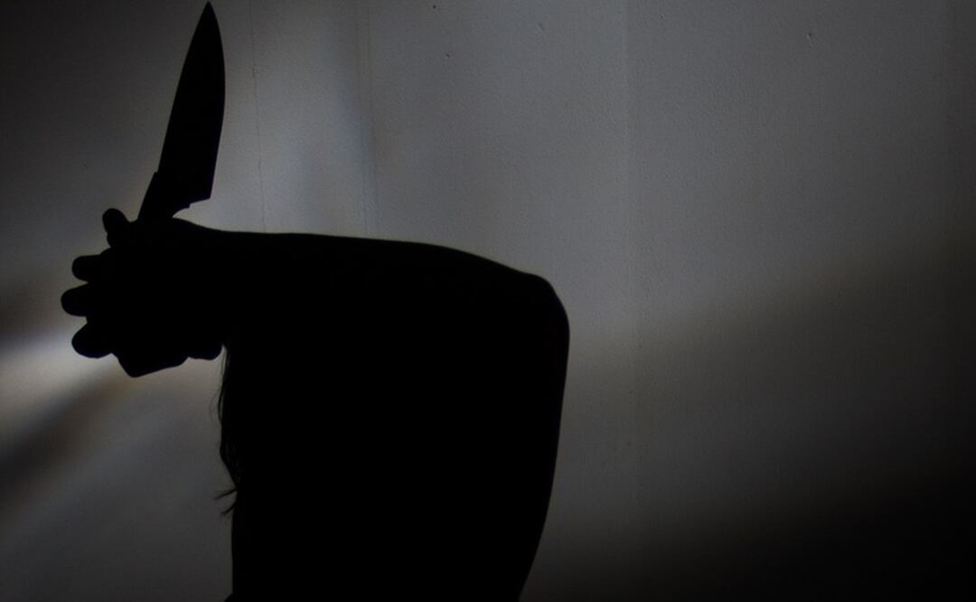 Autoridades detuvieron a un estudiante que asesinó a su profesora en Brasil. Foto: Pixabay