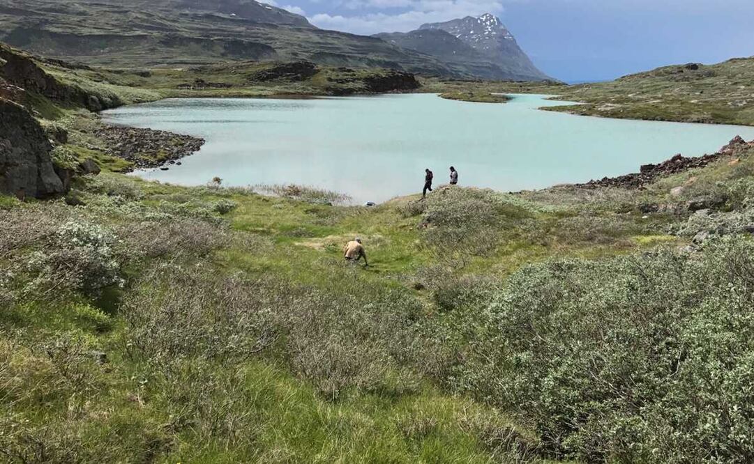 Foto: Universidad de Massachusetts Amherst