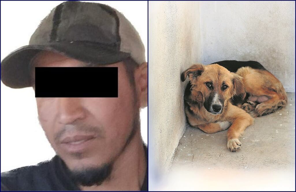 FOTO: Especial y Archivo/ EL UNIVERSAL/ 