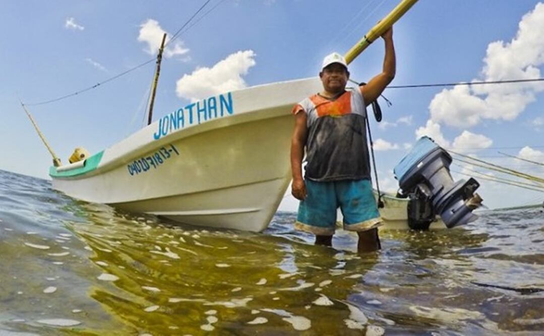 El mal tiempo y las erráticas condiciones climáticas en Yucatán han provocado pérdidas por alrededor de 700 millones de pesos en las pesquerías. Foto: Especial