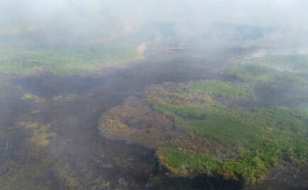Fire engulfs Dzilam Biosphere Reserve in Yucatán