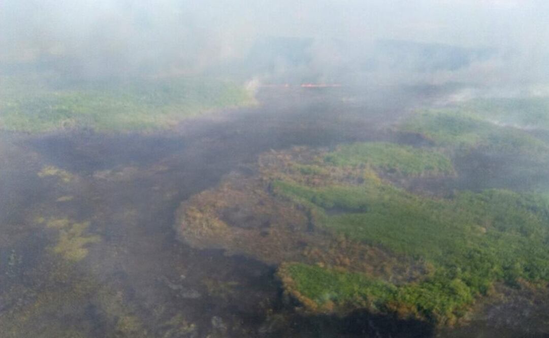 Mexican Armed Forces and National Forestry Commission mobilize to battle fire in the Dzilam de Bravo Biosphere Reserve, home to vegetation endemic to the area and mangroves (Photo: Special)