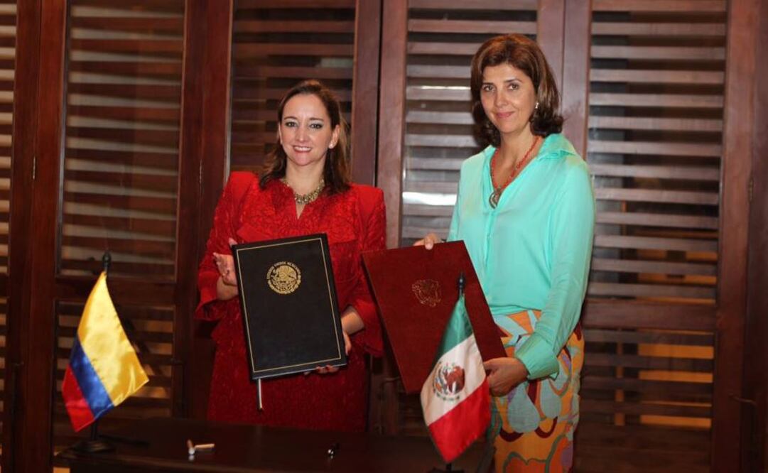 Ruiz Massieu sostuvo encuentros con sus homólogos. En la foto aparece junto a la canciller de Colombia, María Ángela Holguín (Foto: Tomada de Twitter @ruizmassieu)