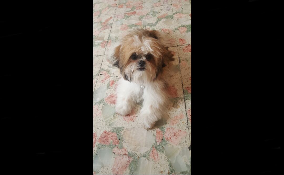 (Foto: Archivo / EL UNIVERSAL)