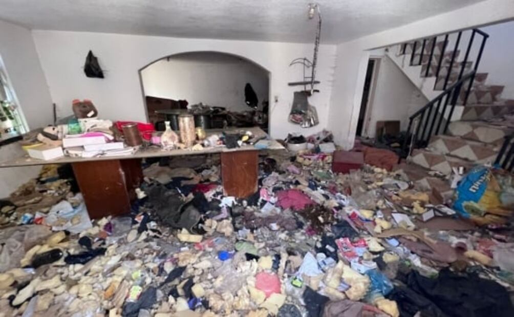 Rescatan a 39 perros y gatos hacinados en una casa en Toluca