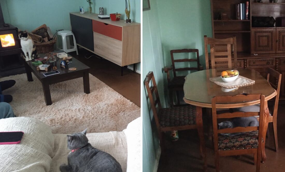 Fuente: Captura de Twitter @pili_igni