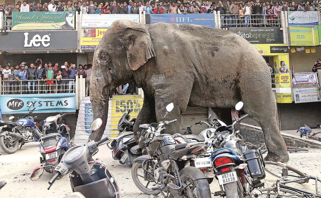 Foto: Archivo/ Xinhua