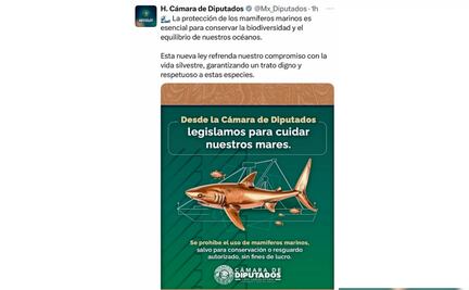 La Cámara de Diputados, reprobada en biología 