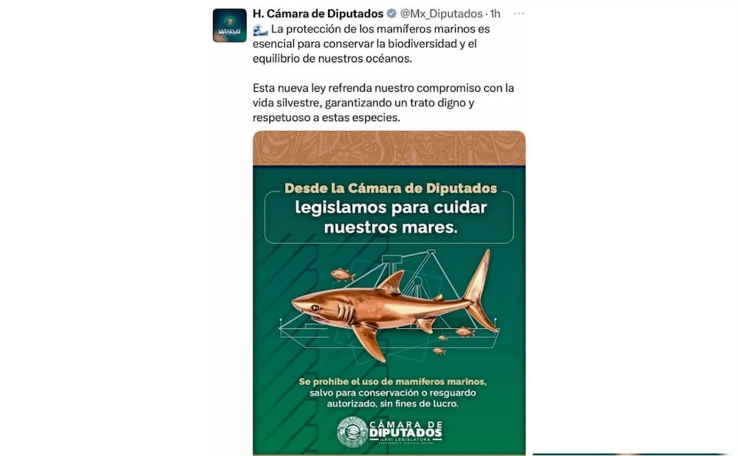Publicación de la Cámara de Diputados en X. Foto: @Mx_Diputados