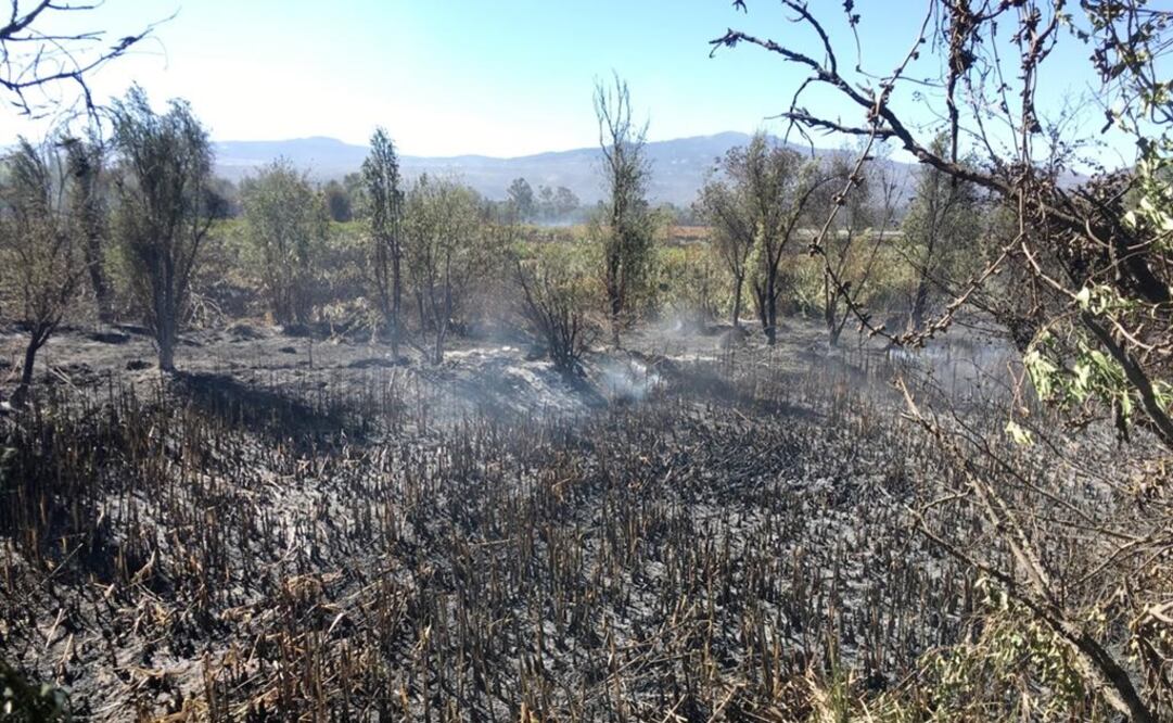 Fotografía: Yadin Xolapa/ EL UNIVERSAL