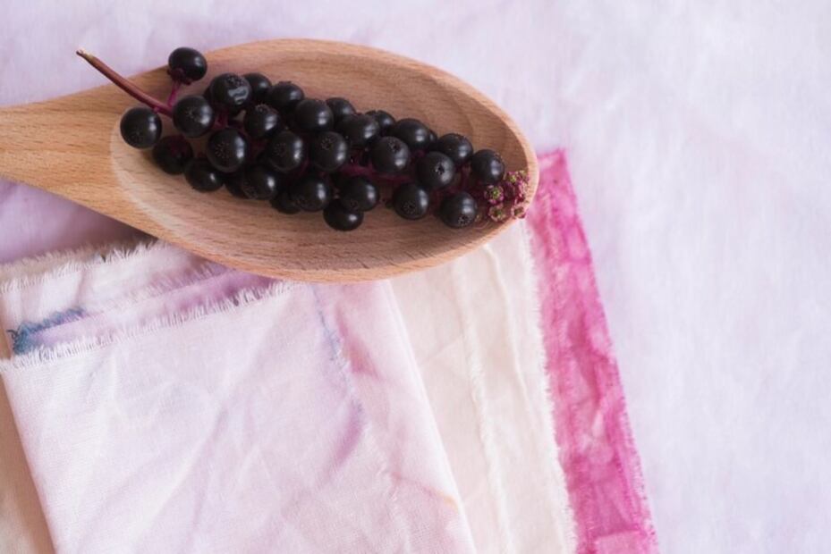 Alimentación que cuida los riñones. Fuente: Freepik