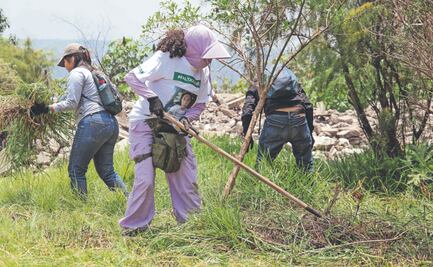 Regresan a Tláhuac a buscar desaparecidos 