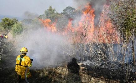 Protección Civil labora para sofocar incendio en Sierra Gorda, Querétaro