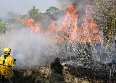 Protección Civil labora para sofocar incendio en Sierra Gorda, Querétaro