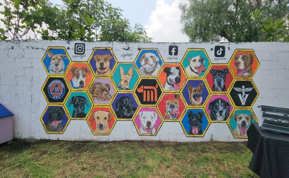 Centro de Transferencia Canina del Metro conmemora el Día Mundial del Perro. Foto: Especial