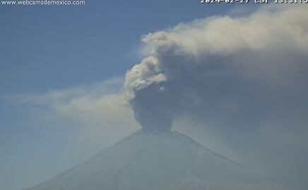 ¿Qué pasa si le cae ceniza a tu comida?