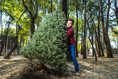 Lugares cerca de la CDMX para comprar árboles de Navidad
