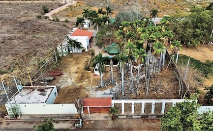 La finca que marcó el destino del Cártel de Sinaloa… y de Rocha
