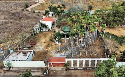 La finca que marcó el destino del Cártel de Sinaloa… y de Rocha