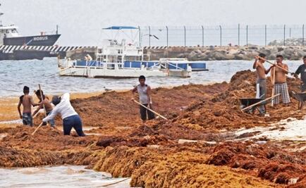 Mantienen limpias de sargazo 12 playas de Quintana Roo