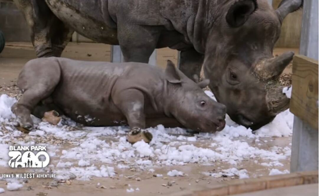 (FOTO: Tomada de Youtube)