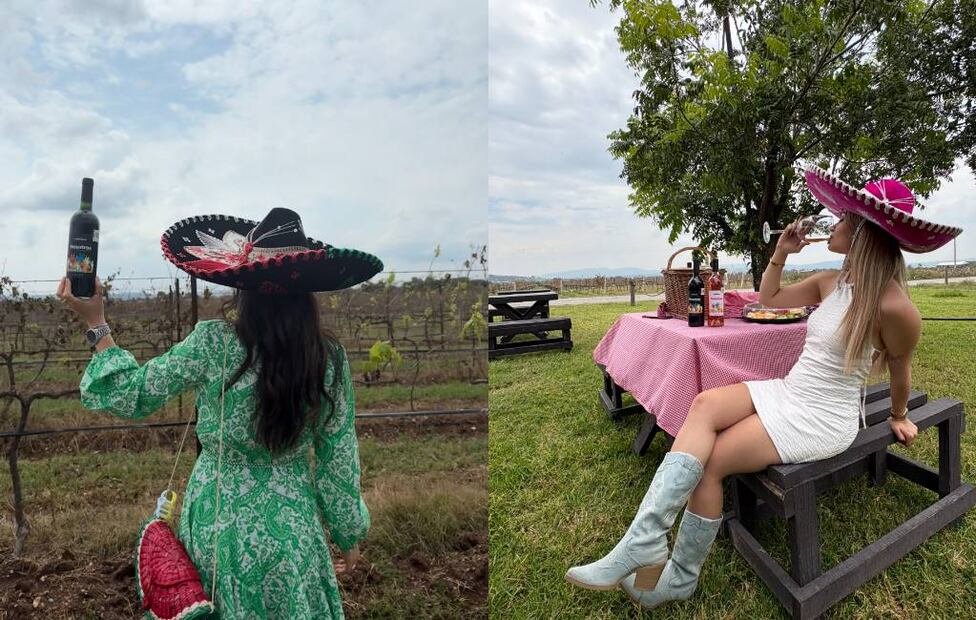 Fotos: Viñedos La Redonda