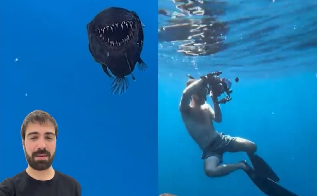 Las imágenes causaron revuelo en redes sociales. Fotos: Condrik Tenerife