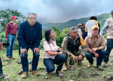 Profepa reforesta plantas de sotol en Querétaro; señala que es especie endémica y amenazada