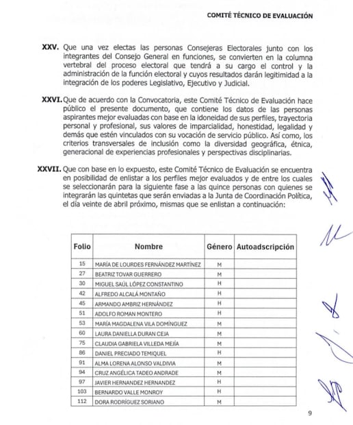 Lista de aspirantes finalistas a consejerías electorales del Instituto Nacional Electoral (INE). Foto: Captura de pantalla