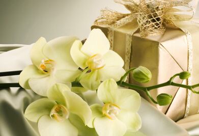 ¿Qué flores y regalos van mejor con cada ocasión especial?