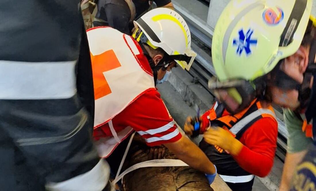 Un joven de aproximadamente 20 años se arrojó al paso del tren en la Línea 7 de la estación Polanco. Foto: Especial