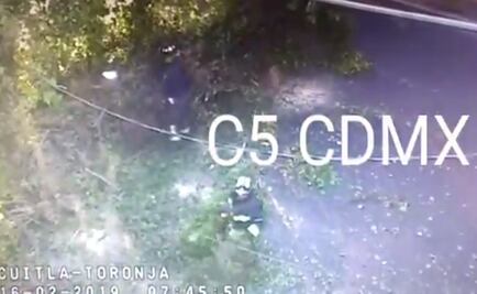 Habilitan carril de contraflujo en avenida Cuitláhuac por árbol caído