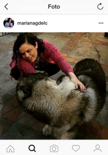 Las mascotas de la política