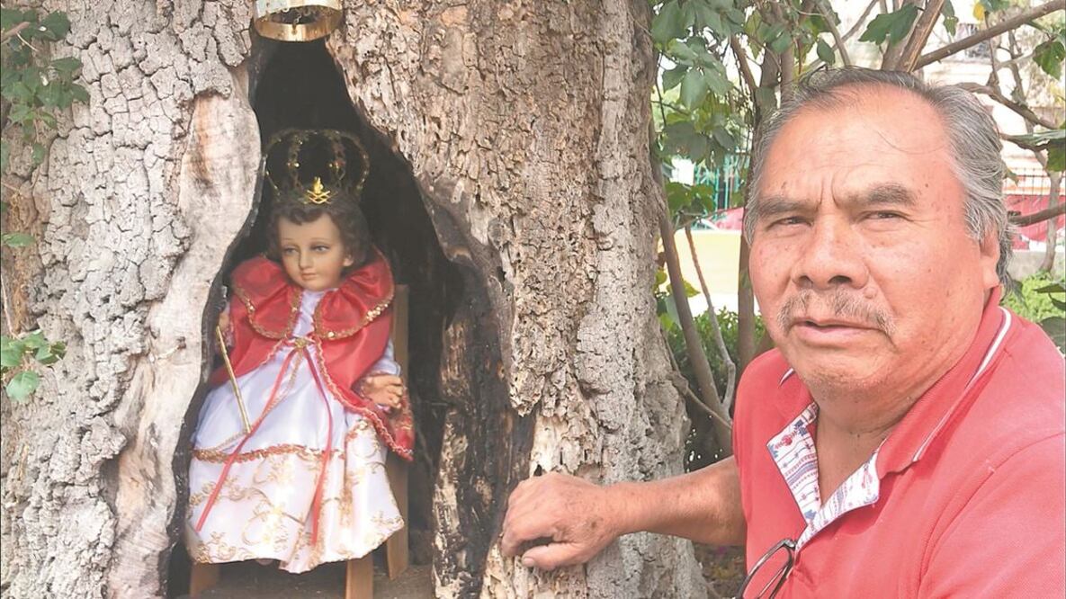 Ricardo Juárez explica que dentro del fresno quemado por un accidente se vislumbra la figura de la Virgen María. REBECA JIMÉNEZ. EL UNIVERSAL