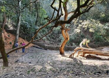 Parque Ecológico de CDMX: dónde está y qué actividades ofrece