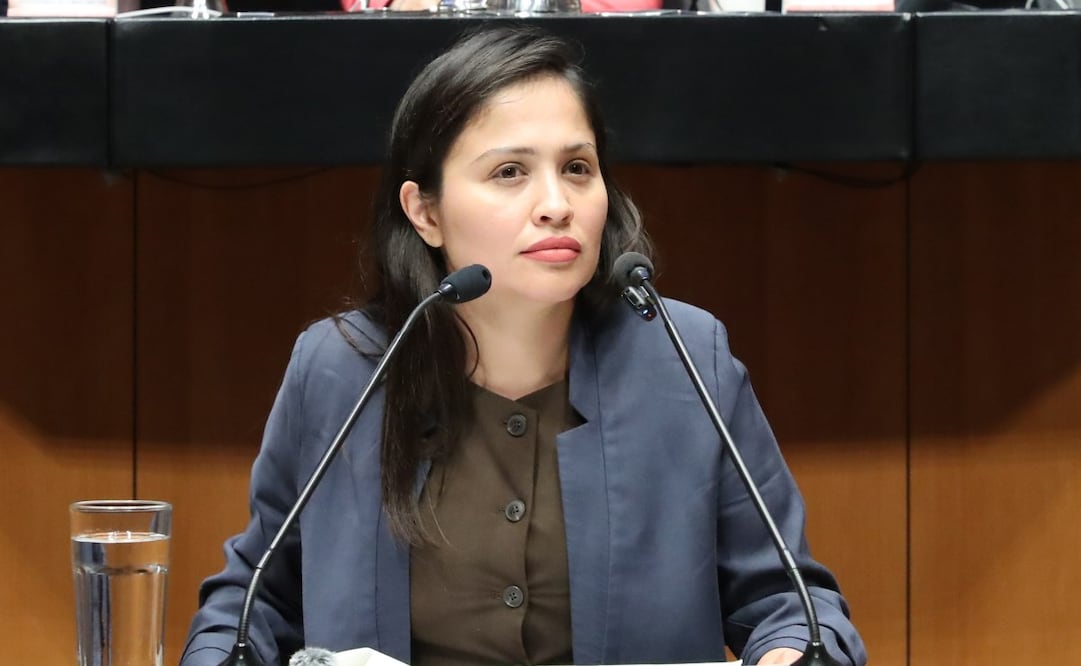 Andrea Navarro Pérez, diputada federal de Morena por Nayarit. Foto: Especial